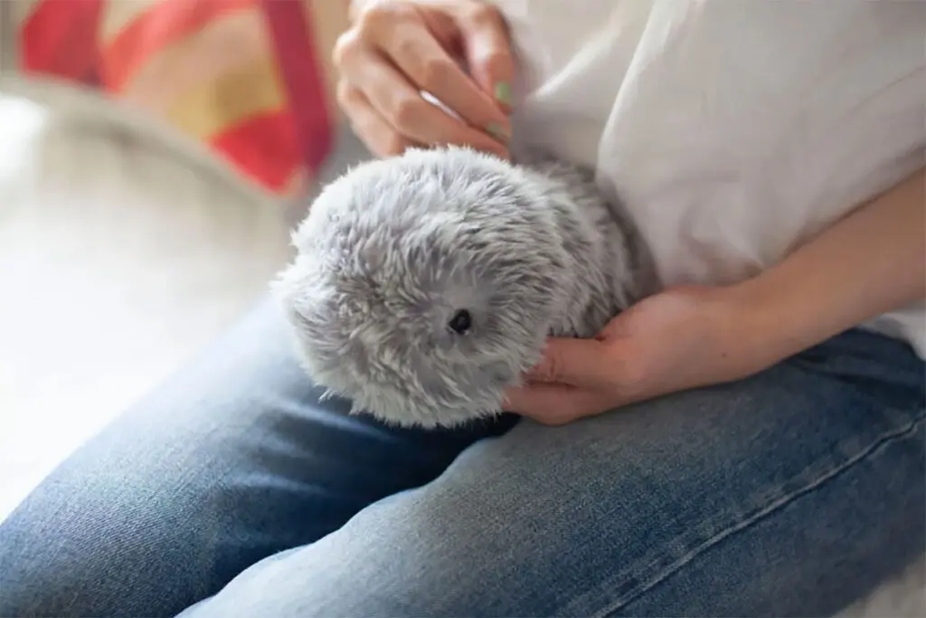 モフリン もふりん moflin アイロボット