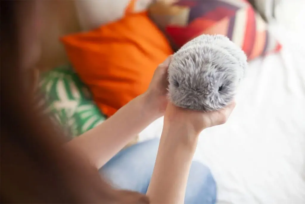 もふりん（MOFLIN）新世代AIペット型ロボットで特別な癒やし…いつ